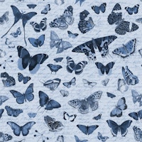 Blue Butterfly Nostalgia papiers peint
