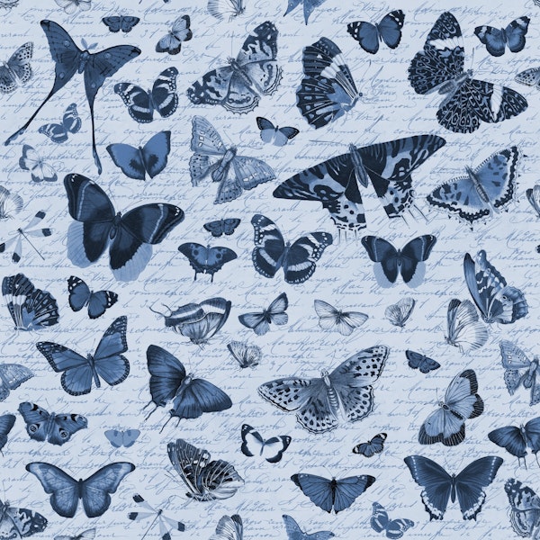 Blue Butterfly Nostalgia