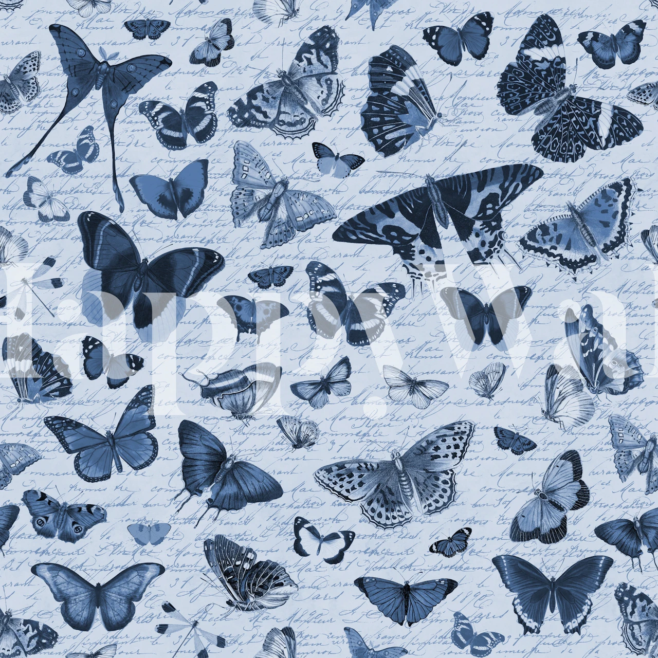 Design tapet Blue butterfly v místnosti