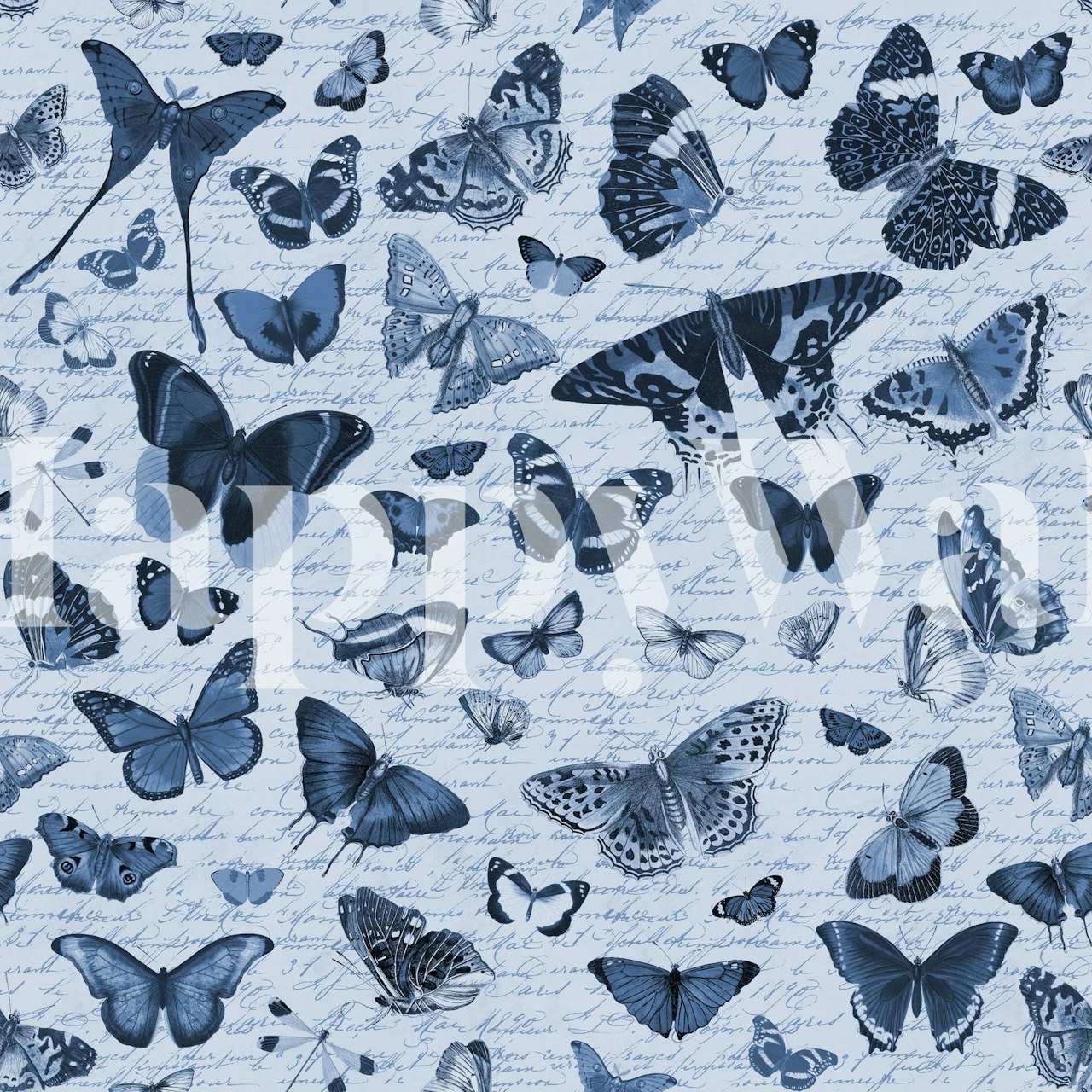 Blue butterfly wallpaper design in a room