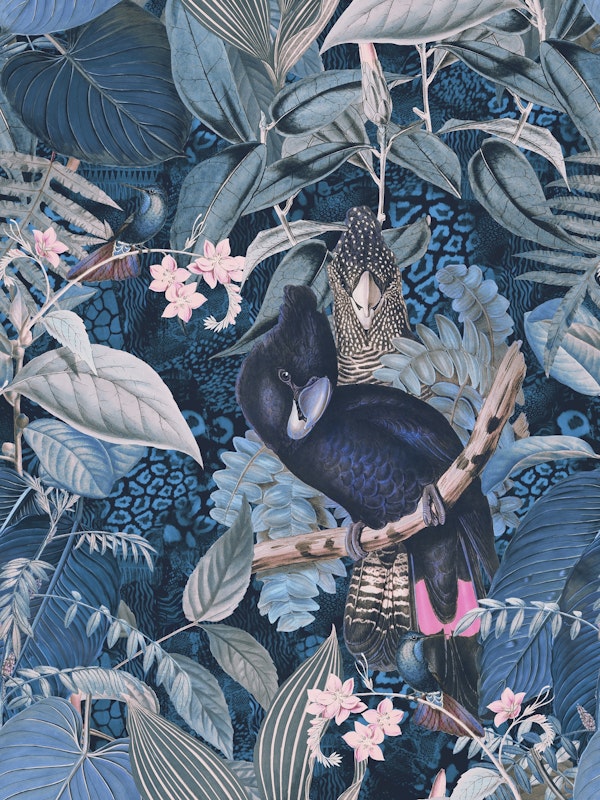 Cockatoos Jungle Night