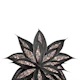 Gray Black Agave Rose Gold 2