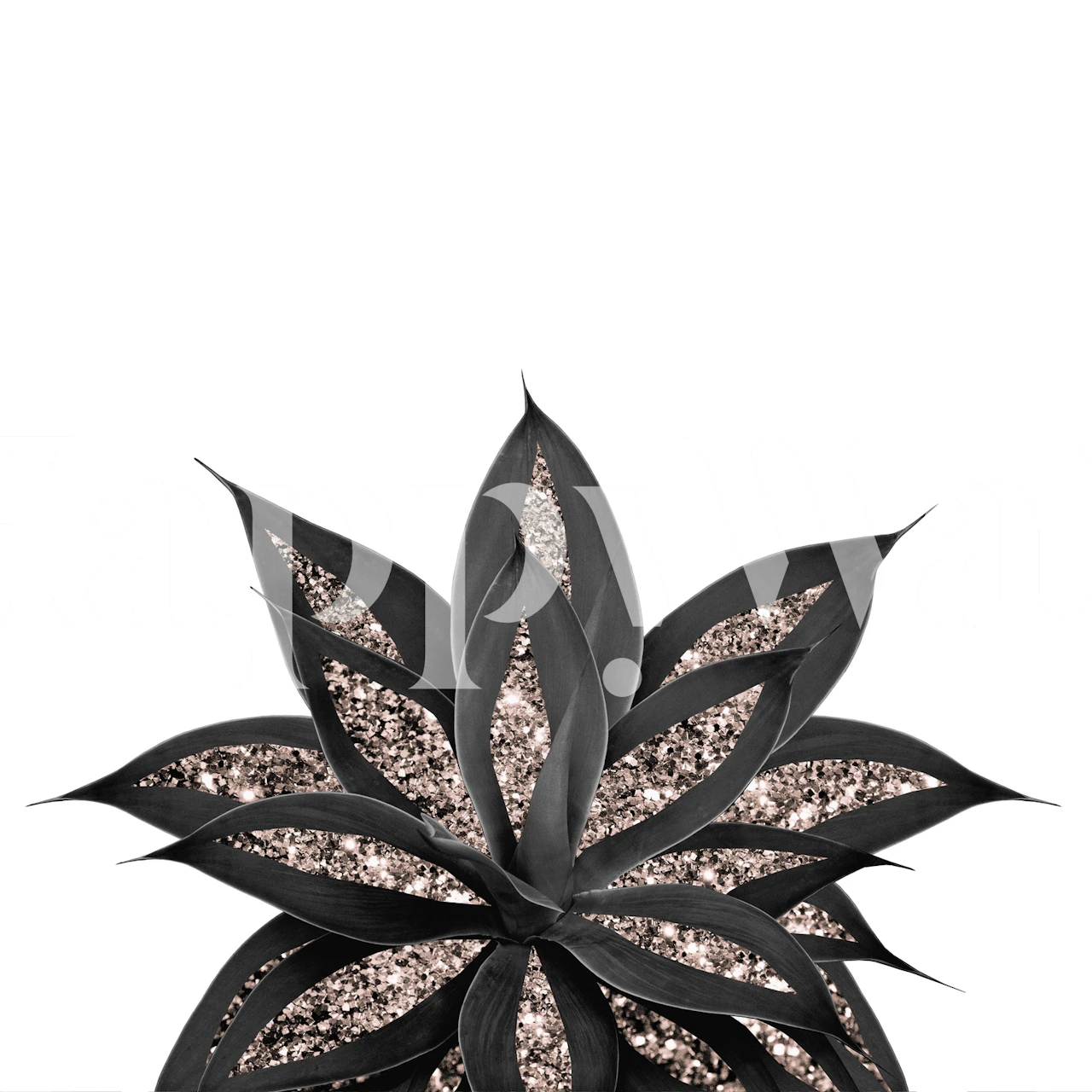 Gray Black Agave Rose Gold 2 tapet i et rom