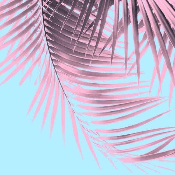 Palm Leaves Summer Vibes 7