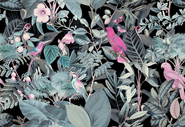 Jungle Wildlife Night