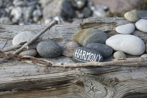 Beach Harmony Land Art