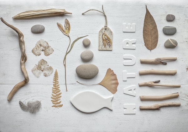 Nature Collage With Fish