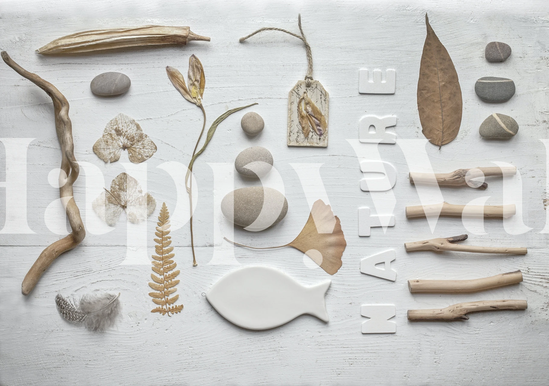 Naturcollage tapet med fiskar, stenar, fjädrar och botaniska element på en neutral bakgrund