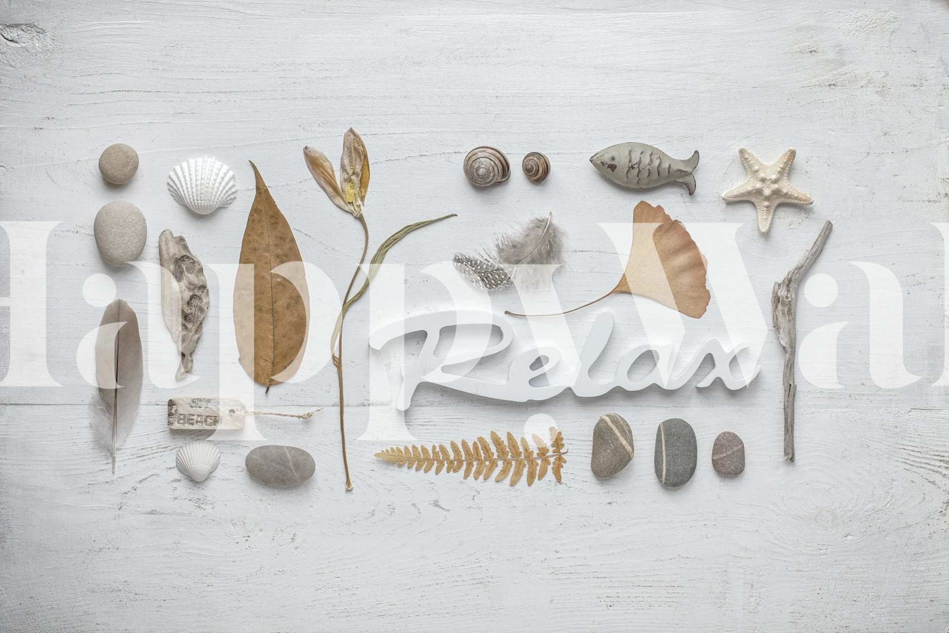 Relax Nature Collage wallpaper featuring seashells, stones, and leaves in neutral colors