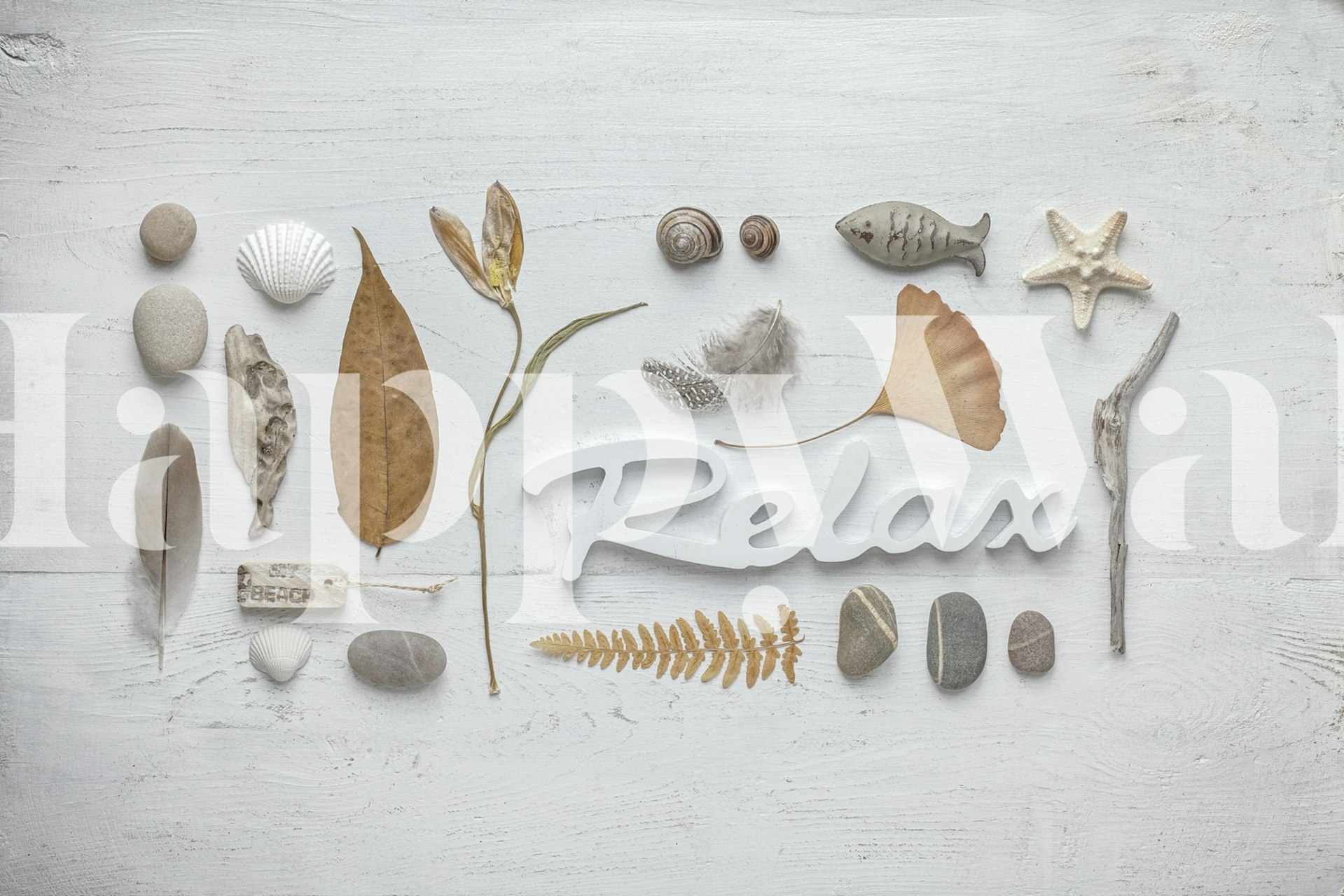Relax Nature Collage wallpaper featuring seashells, stones, and leaves in neutral colors