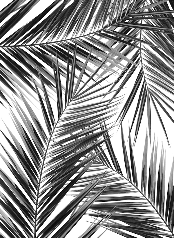 Palm Leaves Pattern Dream 3