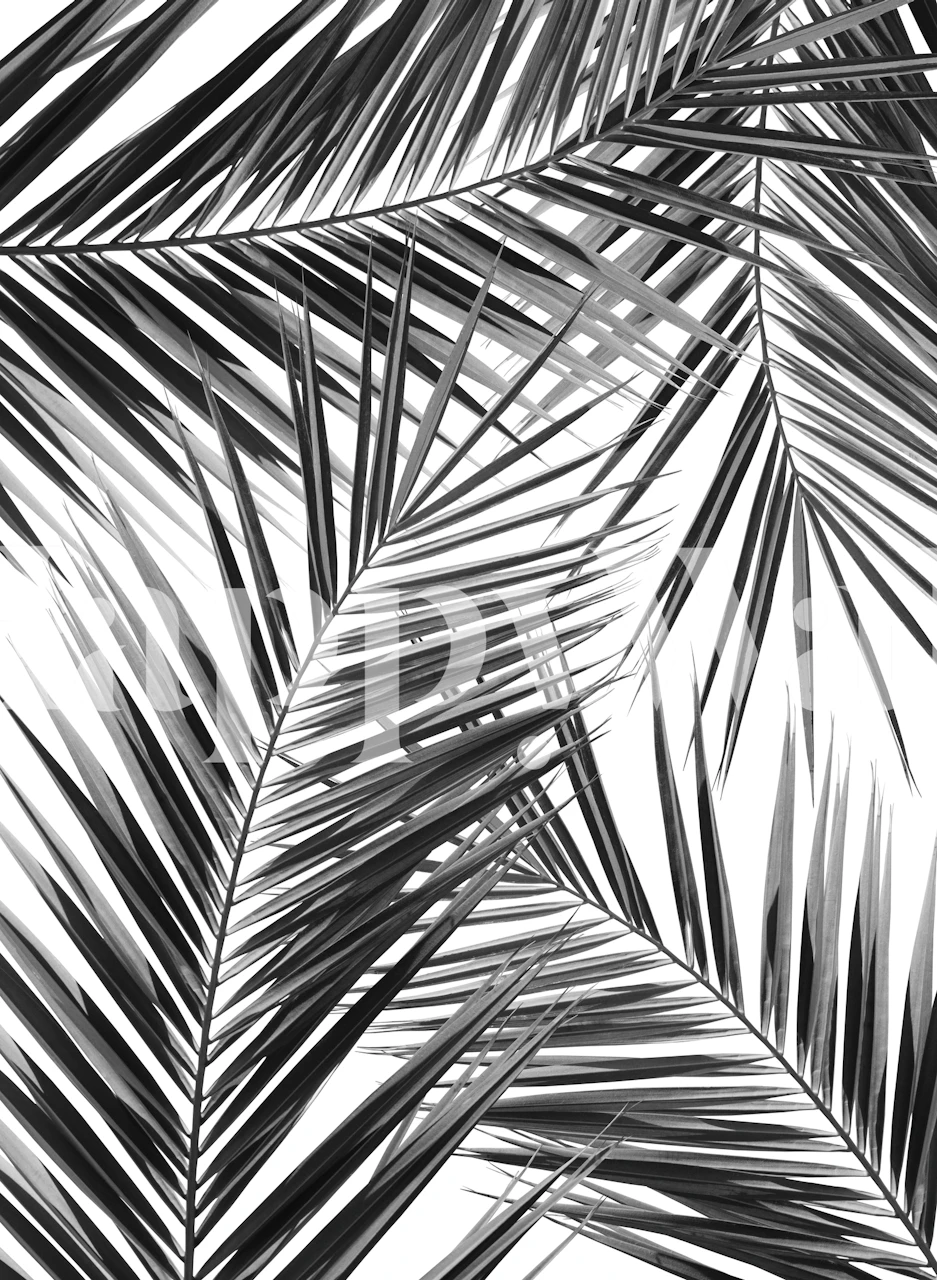 Black palm leaves pattern wallpaper on white background