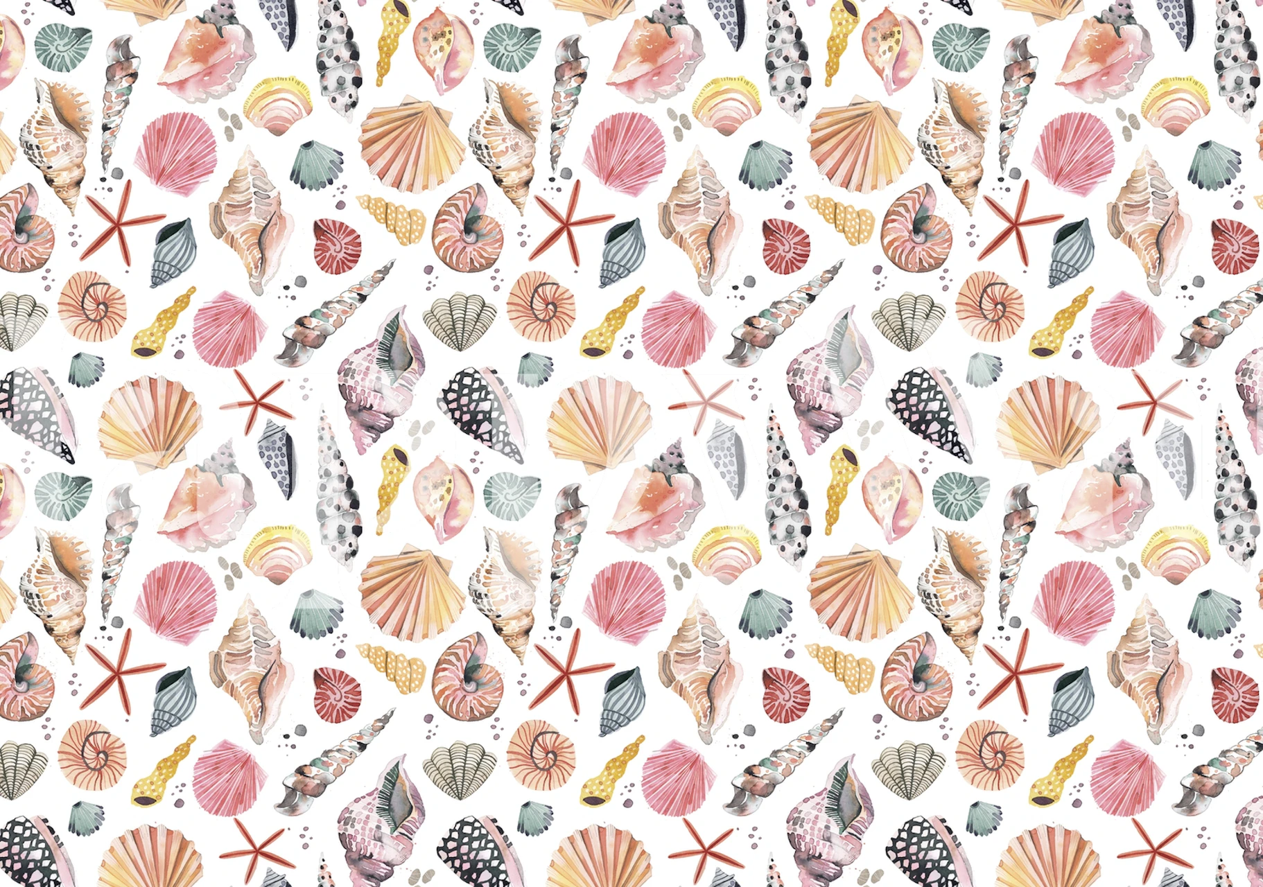 Papel pintado Seashells en una habitación