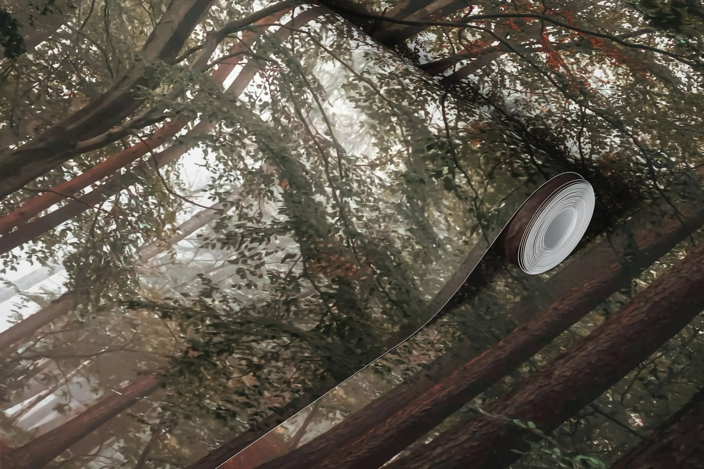 wallpaper roll