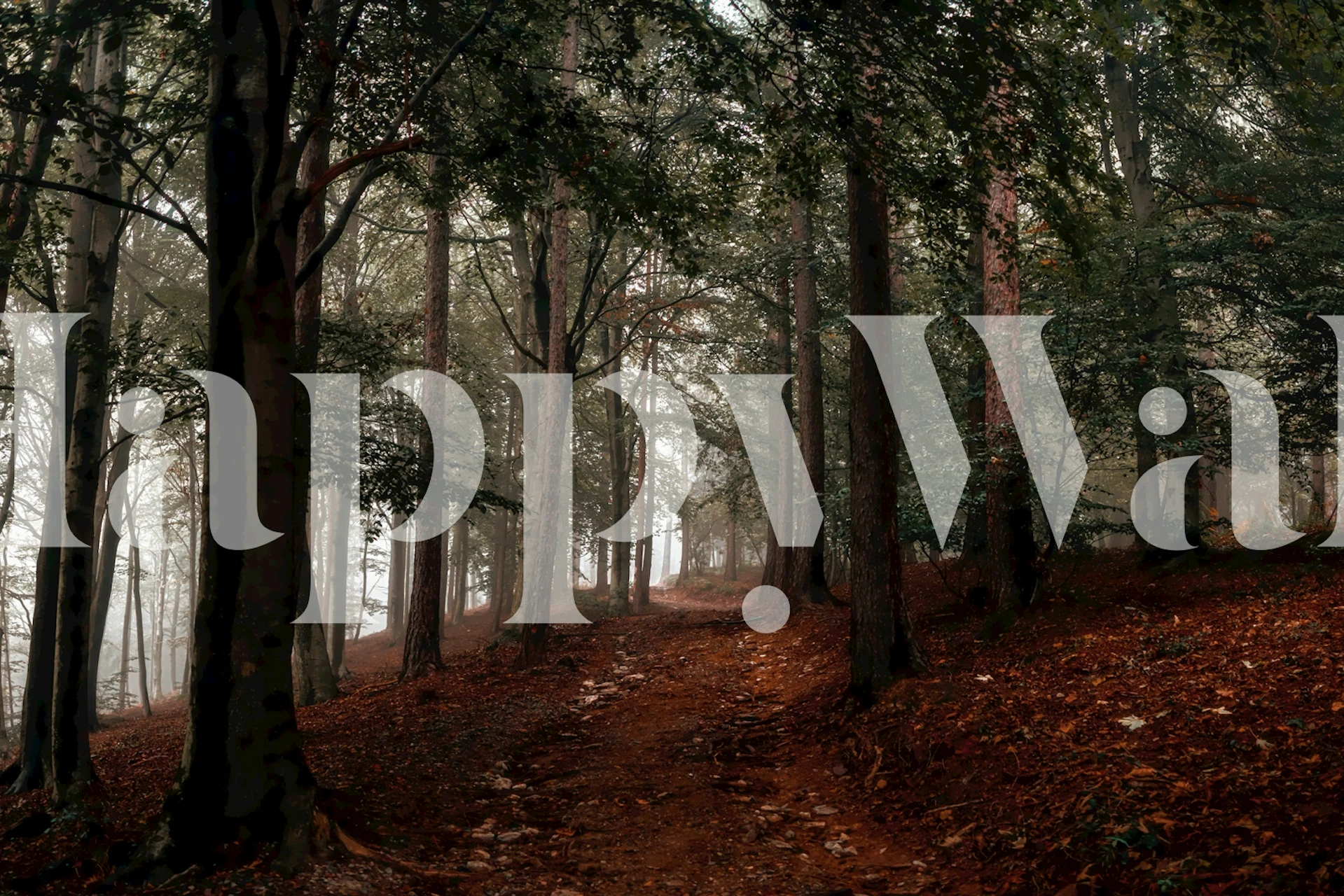 Forest trees wallpaper in a cozy room