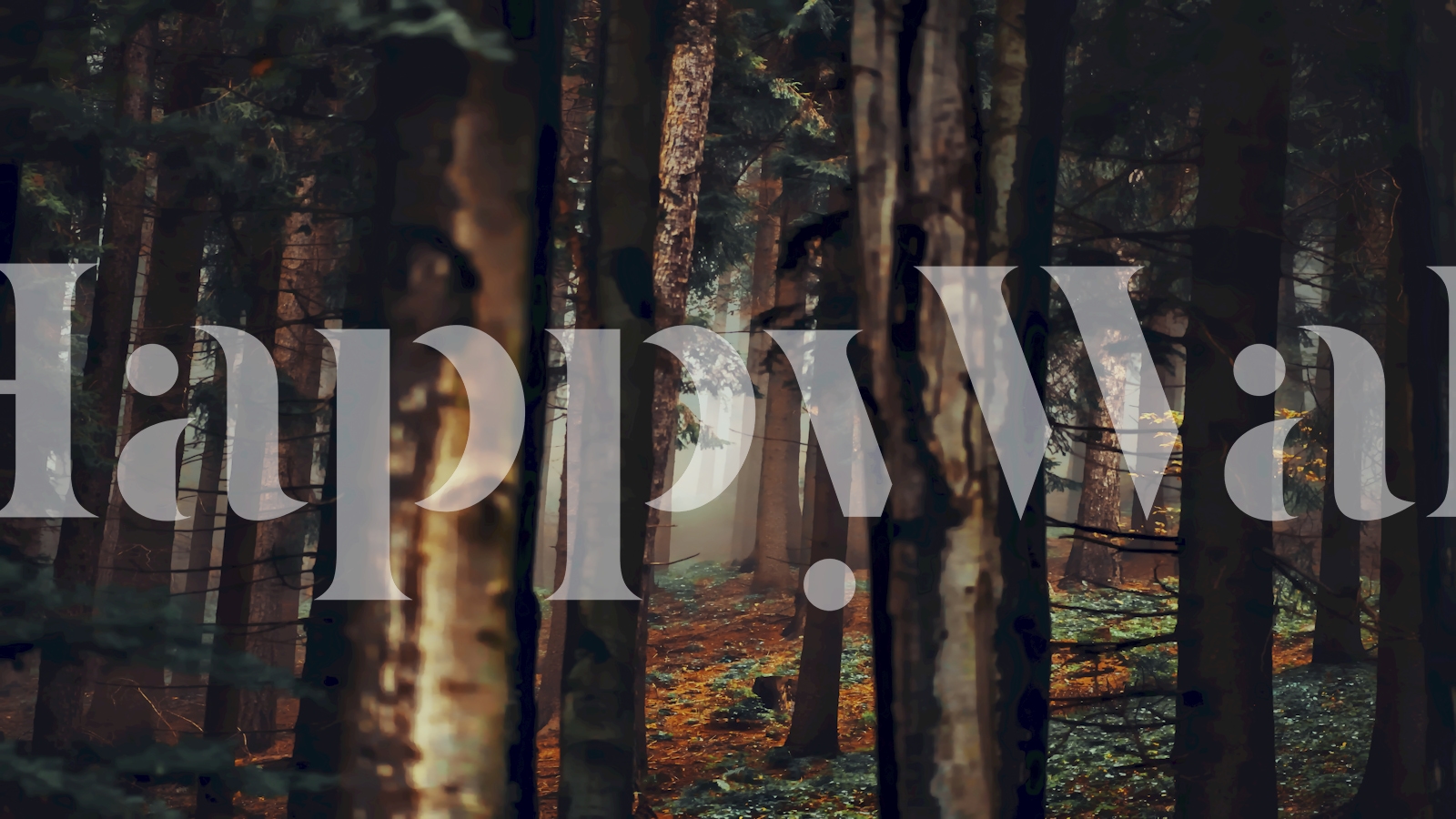 Forest Hideout wallpaper in a room setting