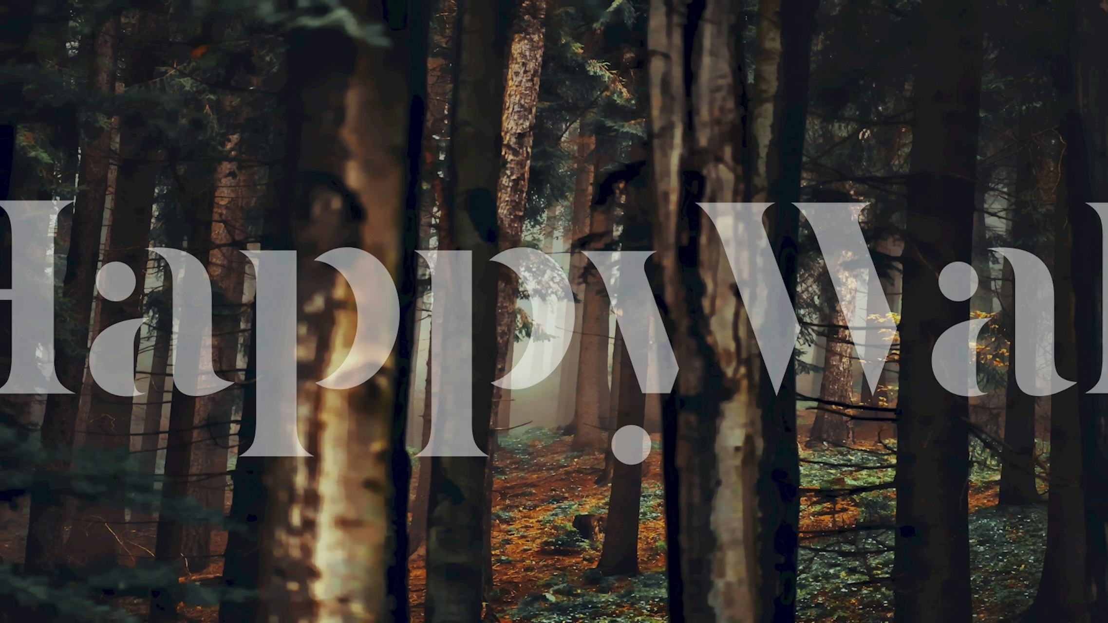 Forest Hideout wallpaper in a room setting