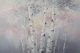 Birchwood Forest