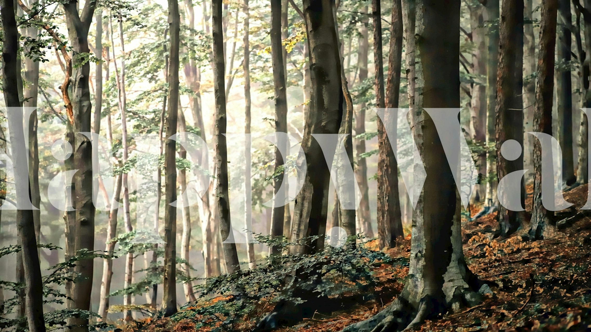 Forest Beauty behang in een kamerinrichting