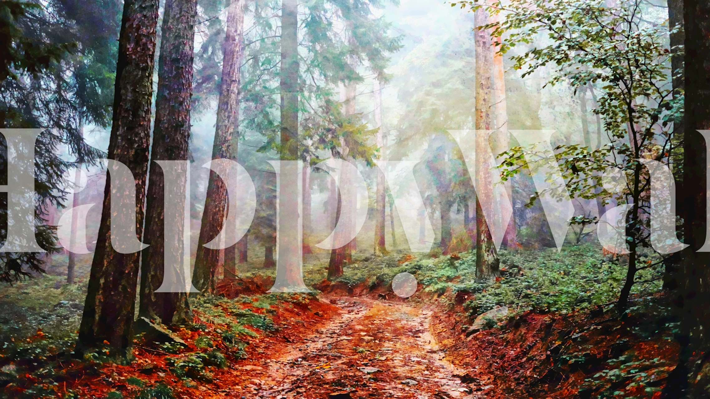 Papel de parede Morning Forest em um quarto