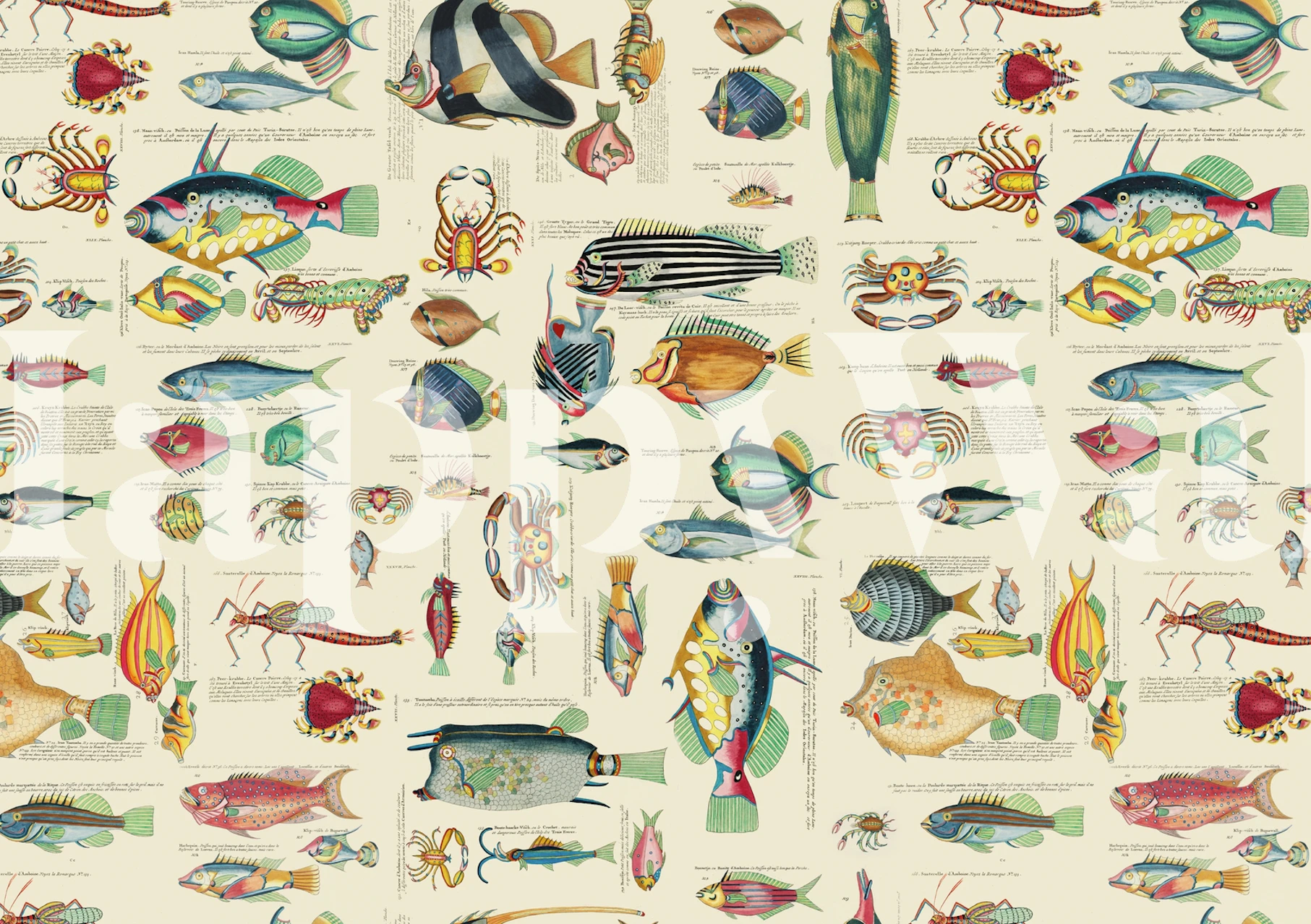 Projekt tapety Fish and sea life w pokoju