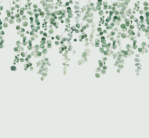 Eucalyptus Wall