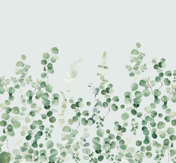 Eucalyptus Wall 2