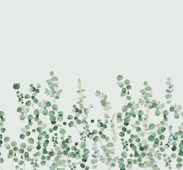 Eucalyptus Wall 2