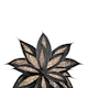 Gray Black Agave Gold 2