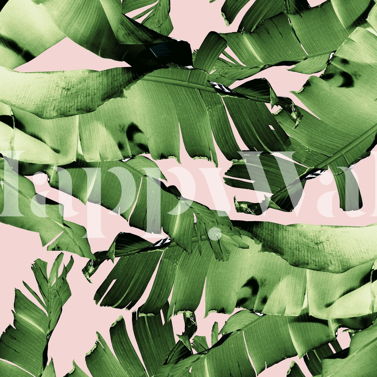 Blush Banana Leaves Dream 8 wallpaper in a room