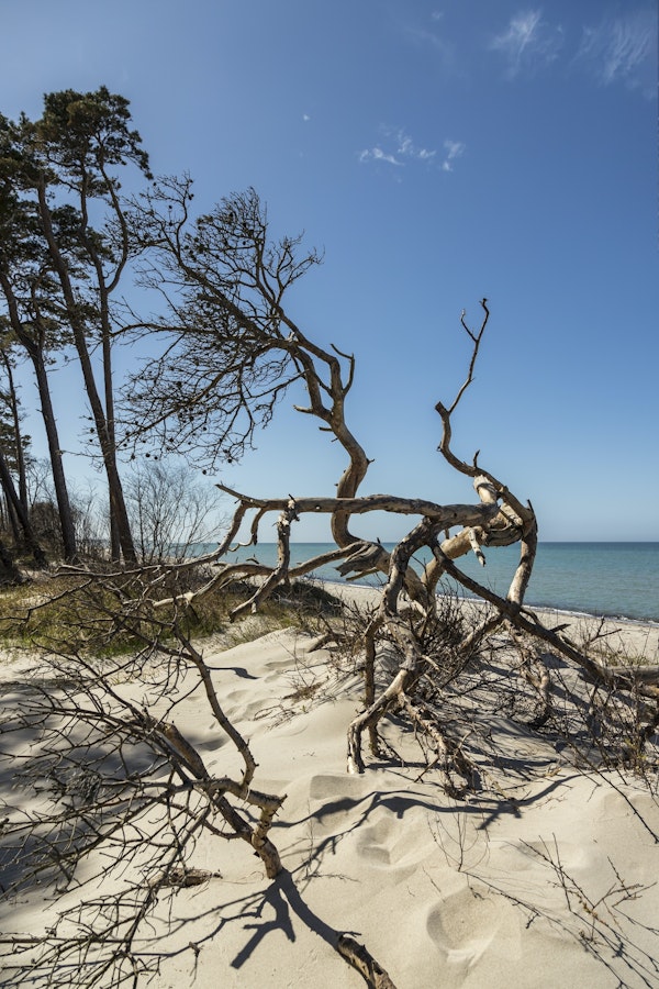 Baltic Sea Spring Day