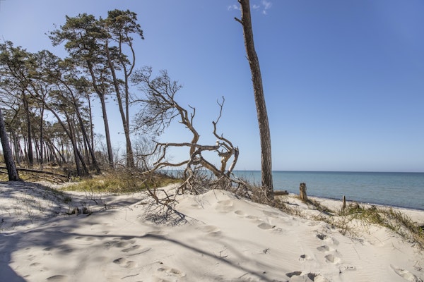 Baltic Sea Spring Day 2