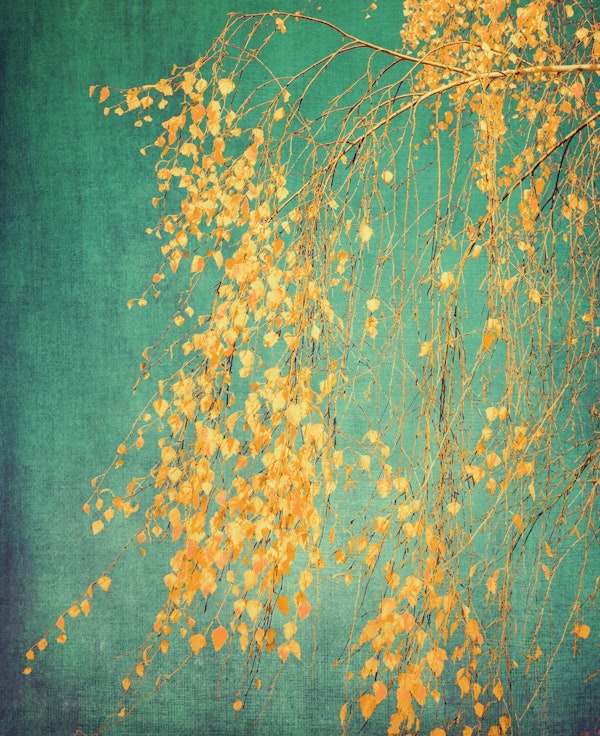 Tree Leaves in Emerald Green and Yellow