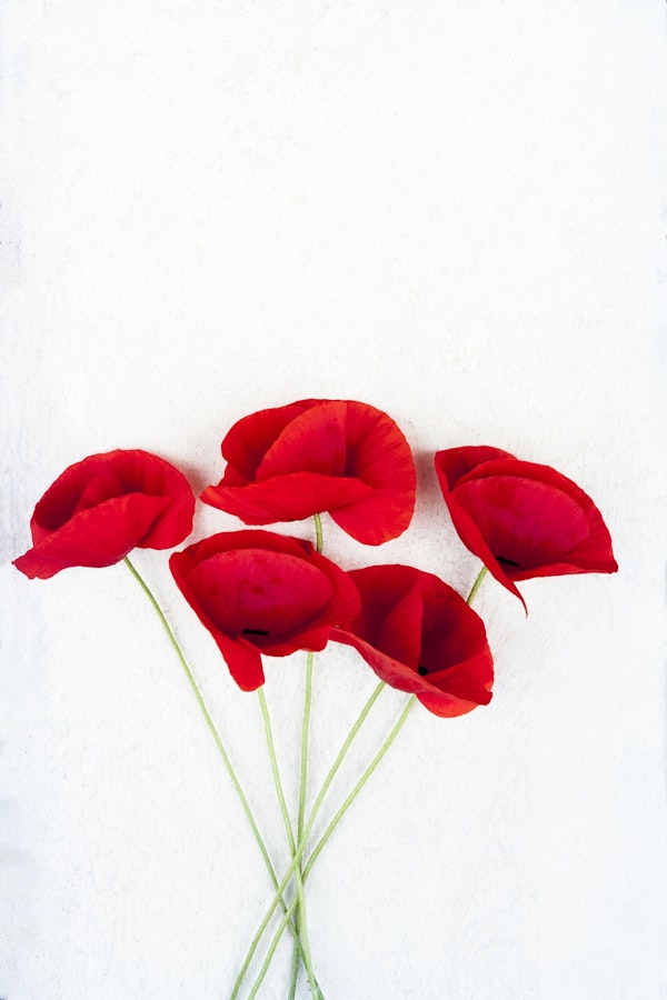 Five Poppies