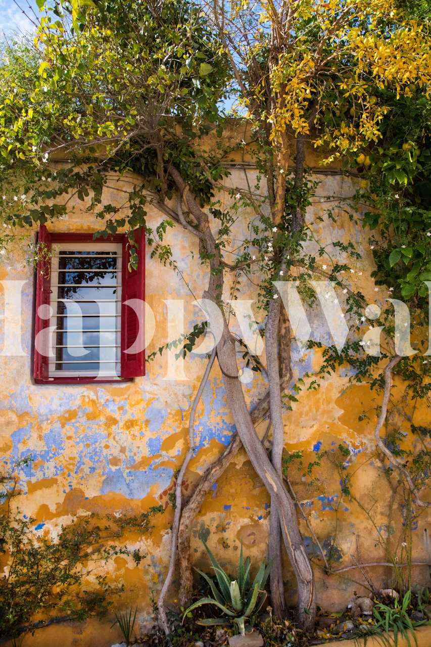 Textured yellow and blue wall with greenery and window wallpaper