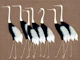 Japan Cranes on Brown