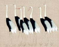 Japan Cranes wallpaper