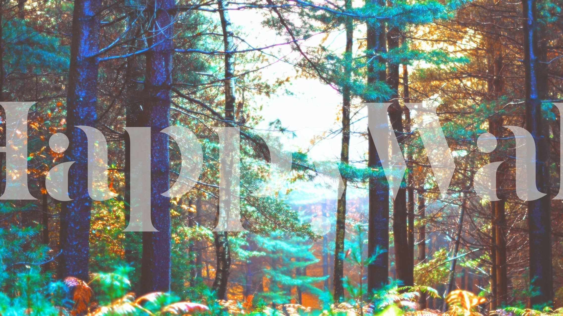 Wall mural featuring a serene forest scene