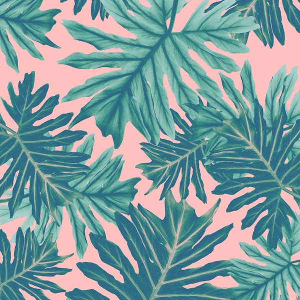 Philo Hope - Tropical Jungle 7