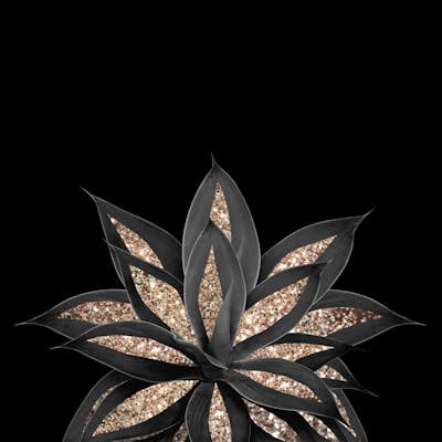 Τοιχογραφία