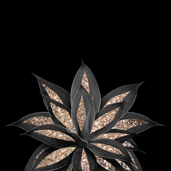 Gray Black Agave Gold 1