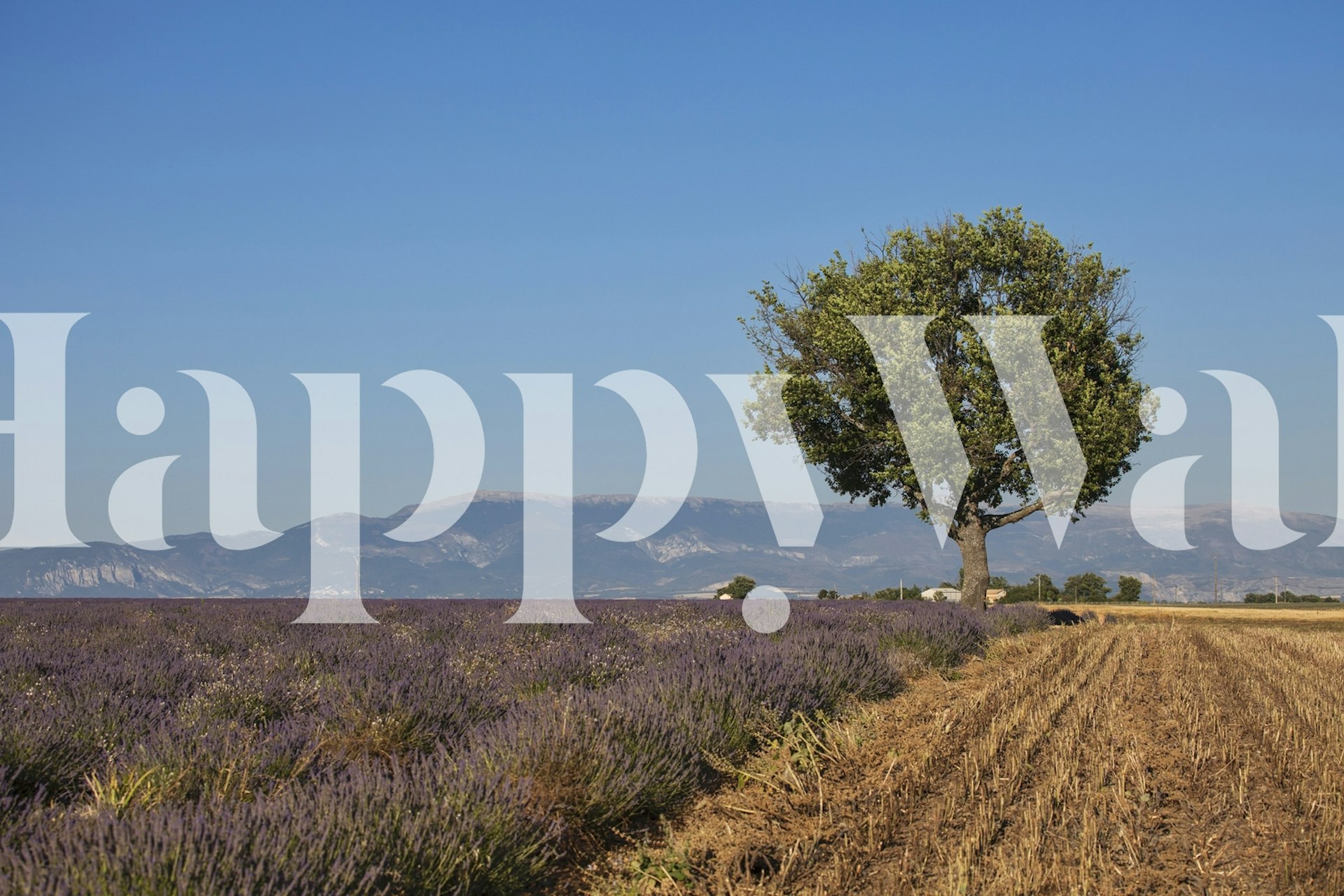 Carta da parati Idyllic Provence Landscape in una stanza