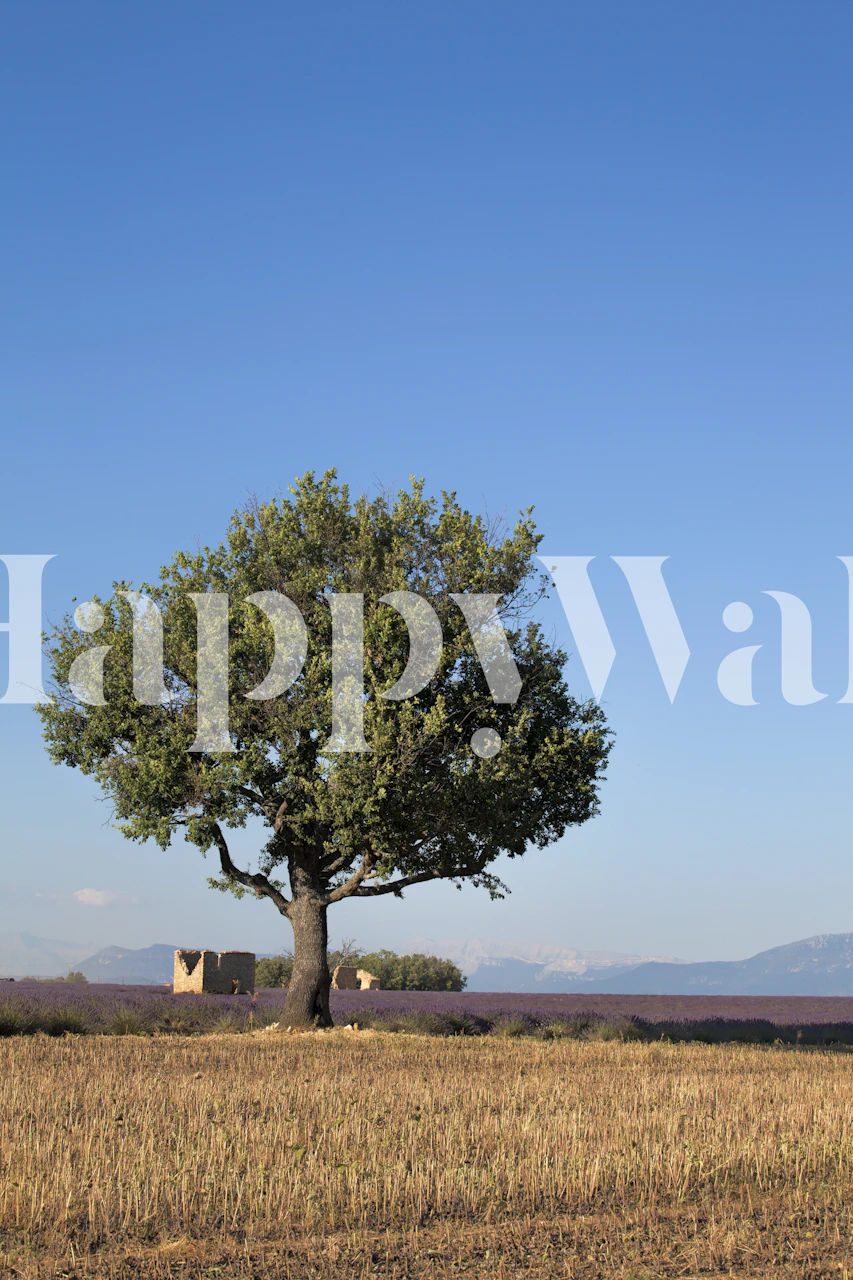 Tapeta krajobraz samotnego drzewa w aranżacji pokoju