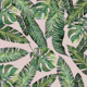 Jungle Leaves  Monstera Pink