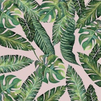 Jungle Leaves  Monstera Pink papiers peint