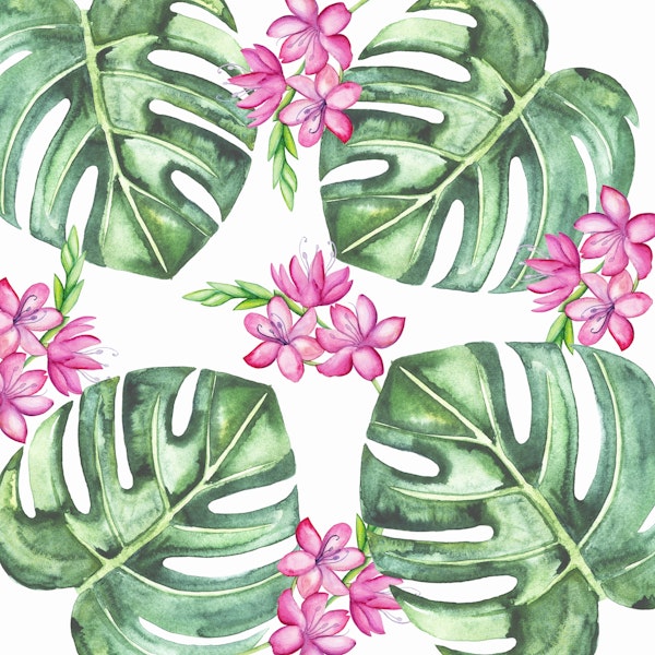 Tropical Flowers And Monstera