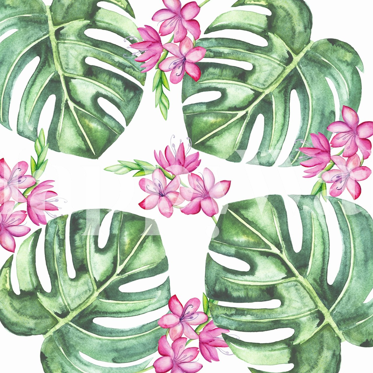 Papier peint fleurs tropicales et Monstera avec verdure luxuriante et fleurs roses