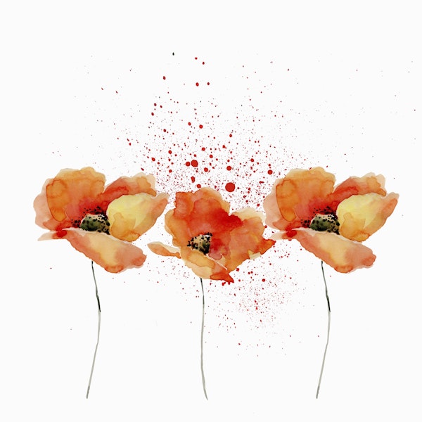 Watercolor Poppies