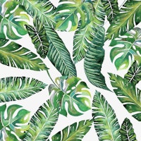 Jungle Leaves Banana Monstera ταπετσαρία