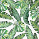 Jungle Leaves Banana Monstera